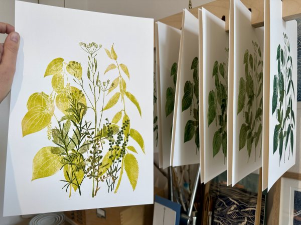 Kräuter Druckgrafik