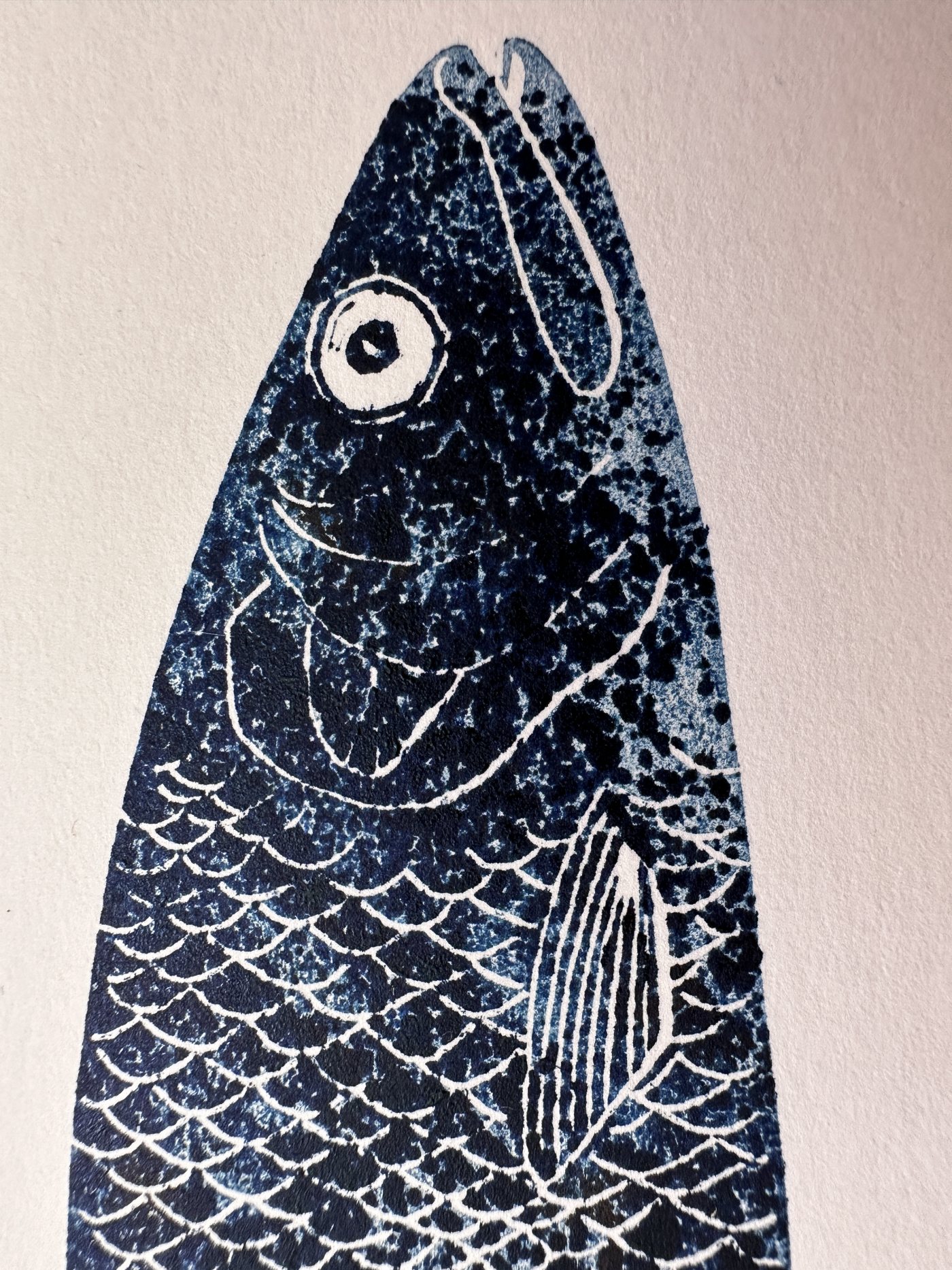 Hering 2023