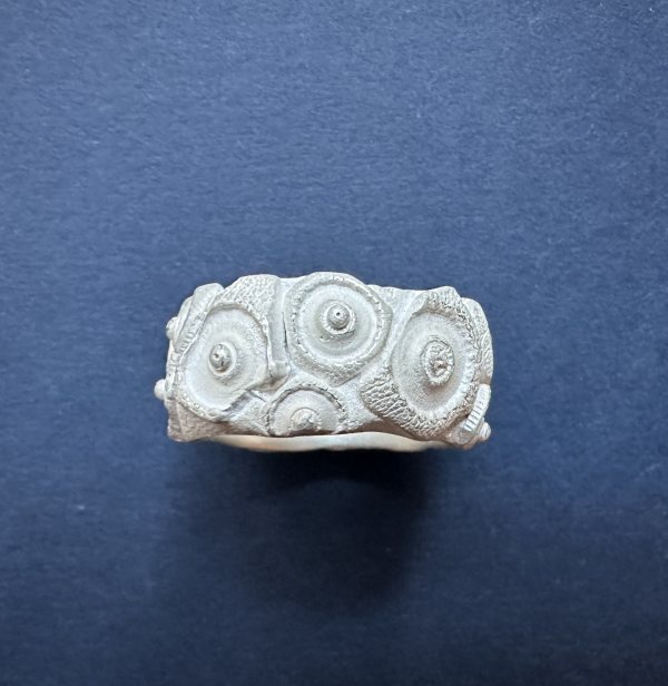 Seeigelplattenring