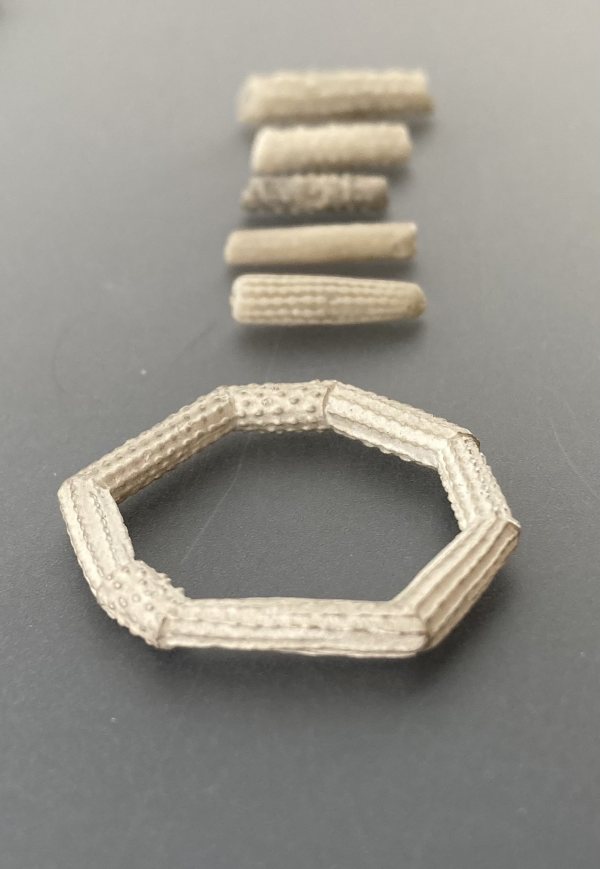 Seeigelfossilien Kollektion