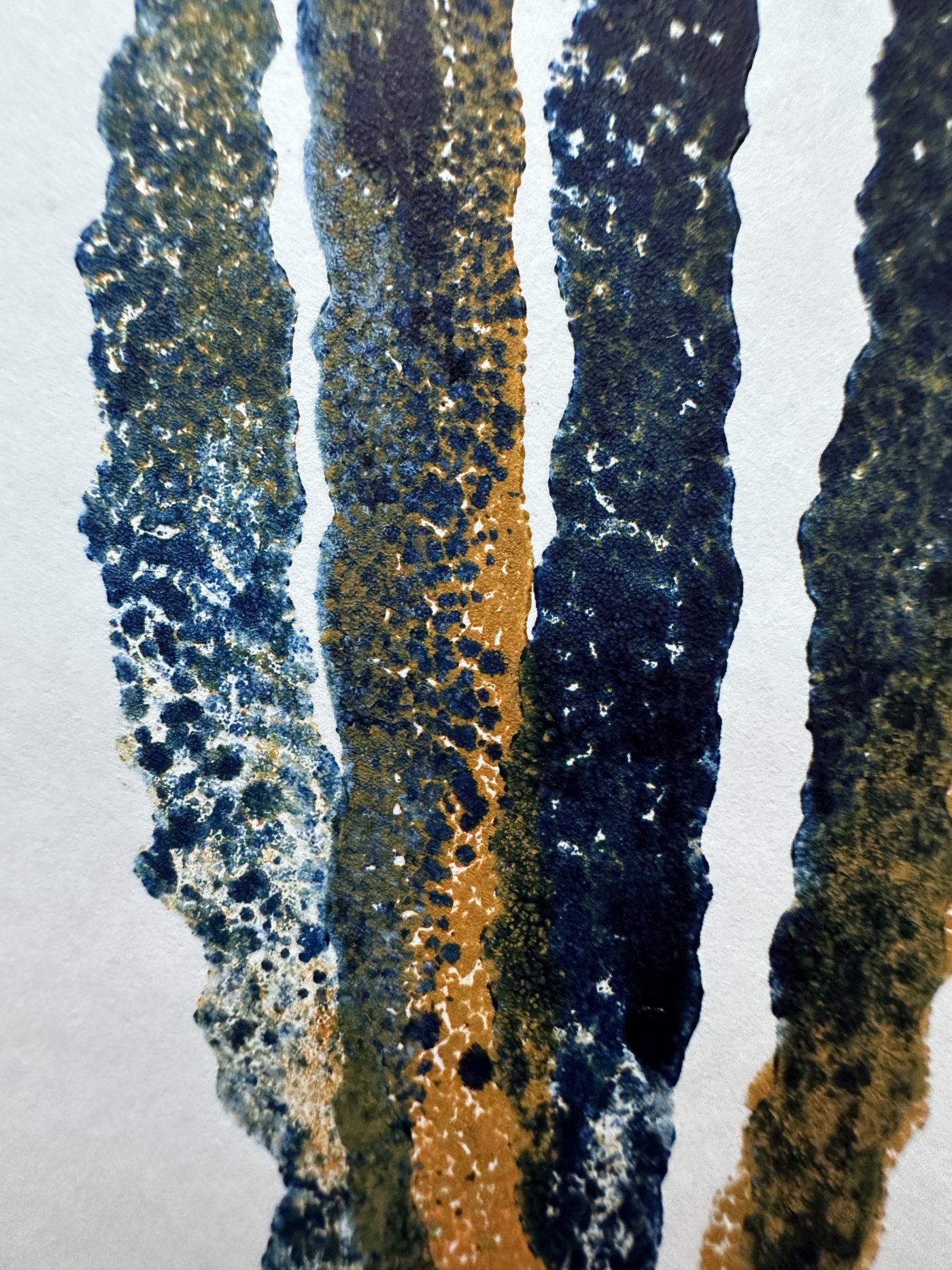 Algen Detail