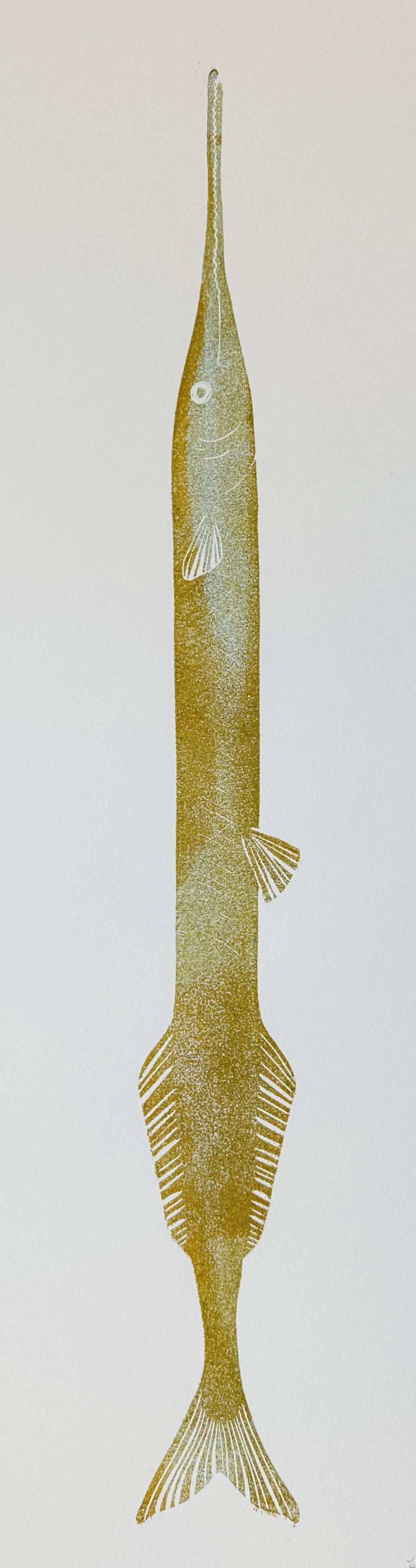 Hornhecht ocker