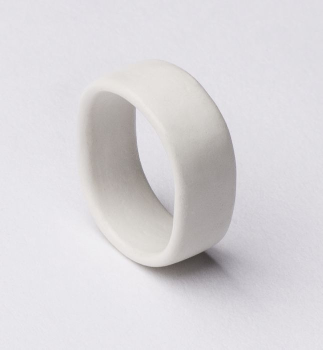 3d Modell aus dem Printer