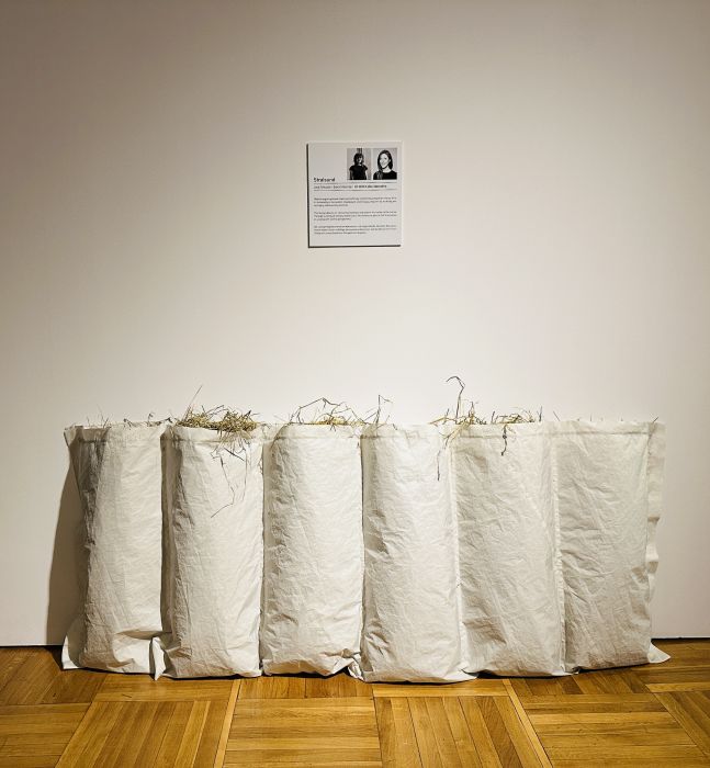 Ausstellungsansicht in Torun